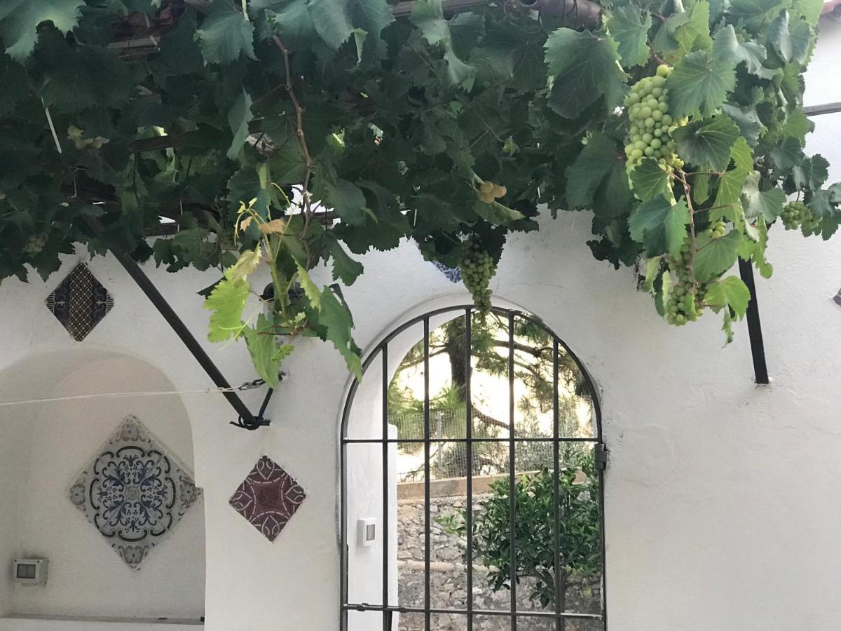 Il Paradiso Di Giacomo Erice Eksteriør bilde